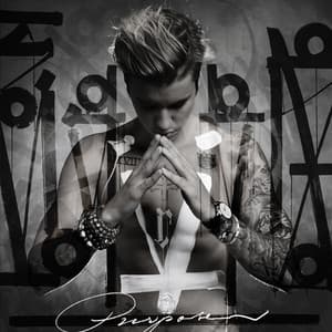 Picture of Purpose (Deluxe)